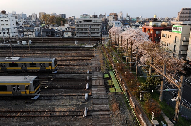 sakura_029.jpg