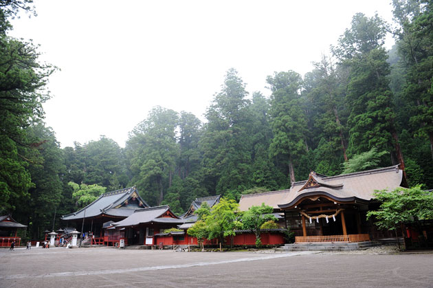 landscape_029.jpg