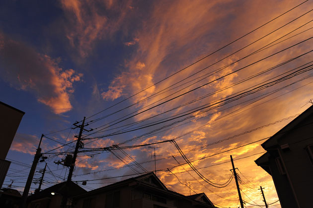 landscape_058.jpg