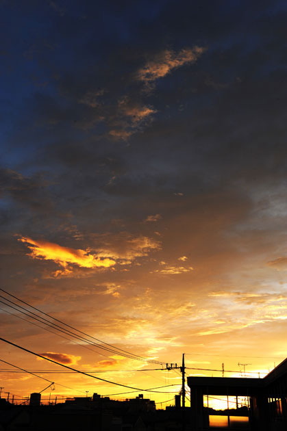 landscape_059.jpg