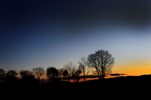 landscape_061.jpg