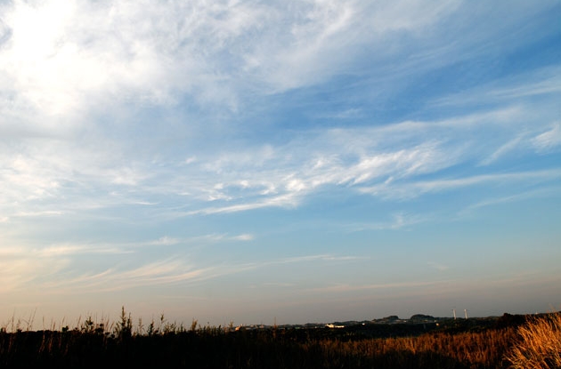 landscape_04.jpg