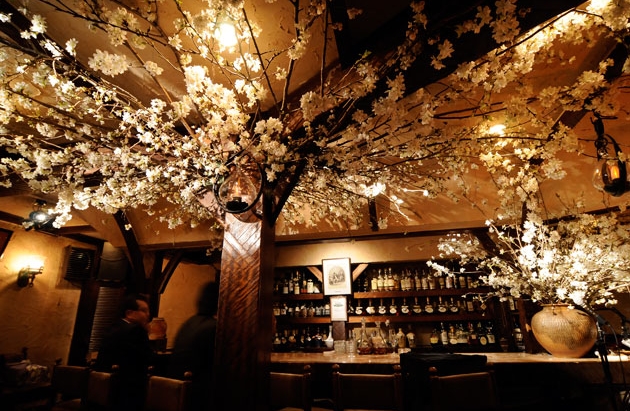 sakura_04.jpg